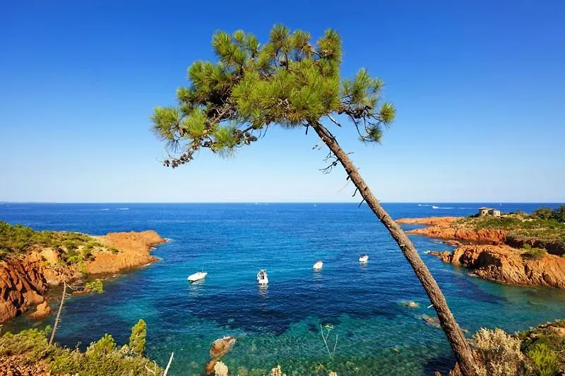Apartment Location Estival Parfaite : Studio A 50 Metres De La Plage, Offrant Une Magnifique Vue Mer Frejus