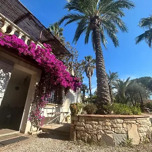  Appartement Les Palmiers